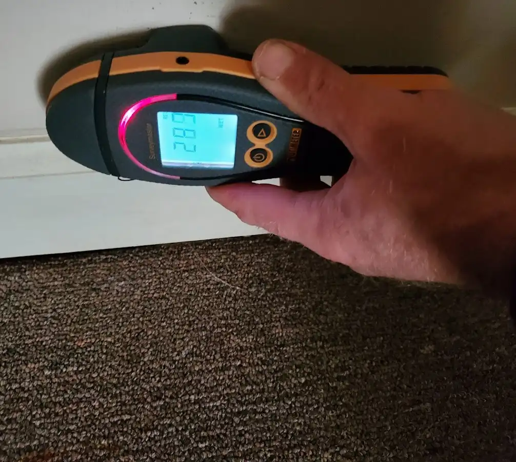 Moisture detection at baseboard during Sewage Cleanup & Sanitation in Pequannock